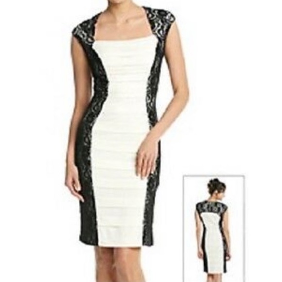 Scarlett Dresses & Skirts - Scarlett Lace Panel Sleeveless Pleated Skimmer Cocktail Dress Size 2